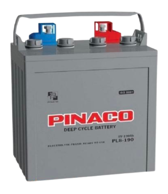 ẮC QUY XE ĐIỆN PINACO 12V