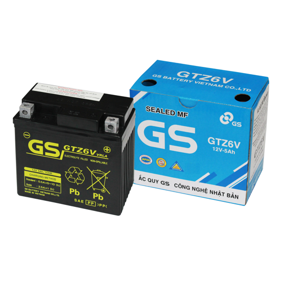 GS - GTZ6V